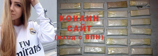 хмурый Белокуриха