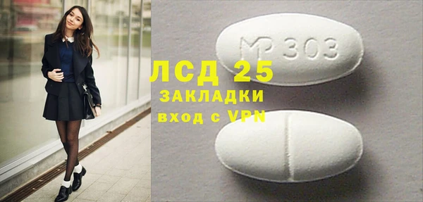 хмурый Белокуриха