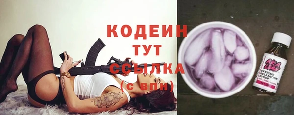 хмурый Белокуриха