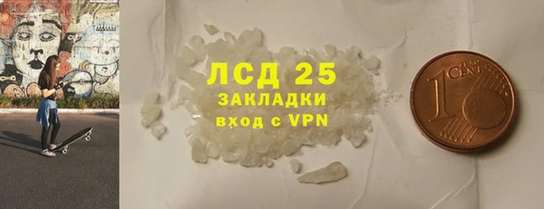 хмурый Белокуриха