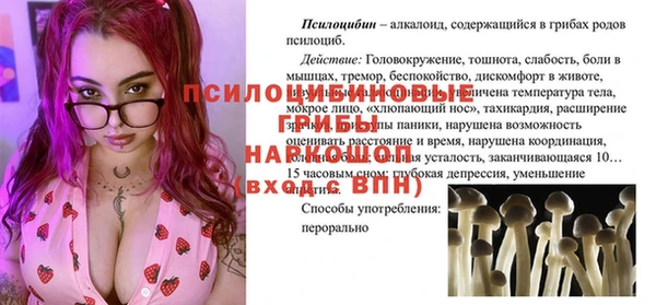 хмурый Белокуриха