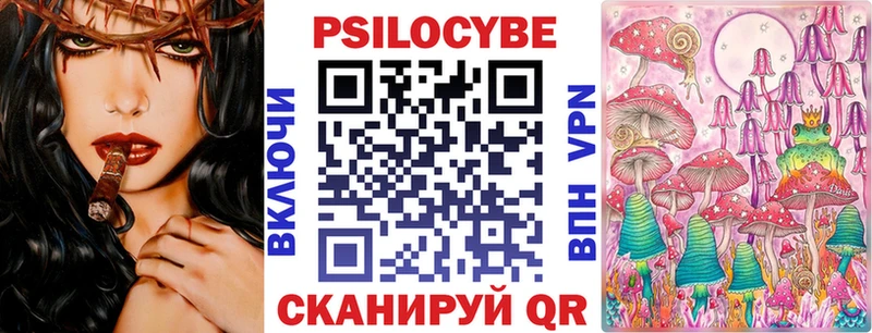 Галлюциногенные грибы Psilocybine cubensis  купить наркотики цена  Елизово 