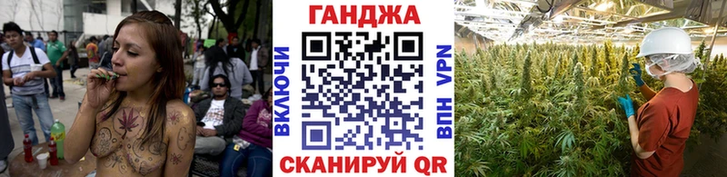 где купить наркотик Елизово Бошки Шишки план